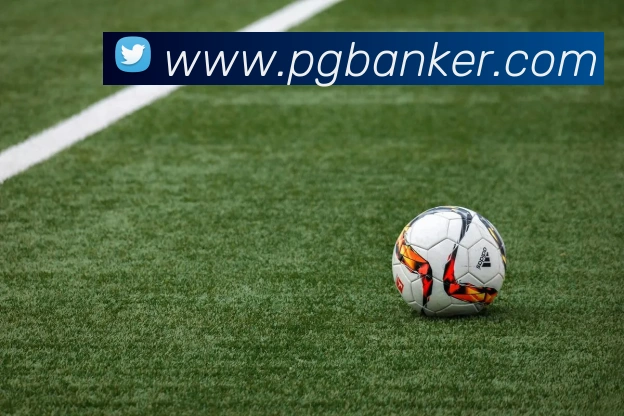 pg电子平台生态图